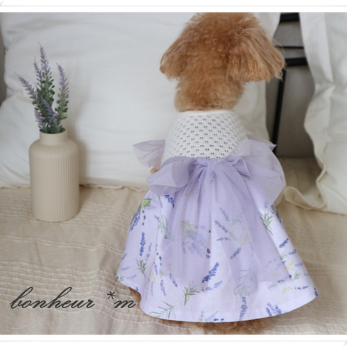 Amazon | [JUI3N] L 犬 ブルー 猫 ワンピース 犬服 お姫様