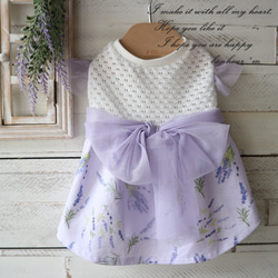 犬服〜ミモザワンピース〜フラワー レース 春夏秋 イエロー 黄色