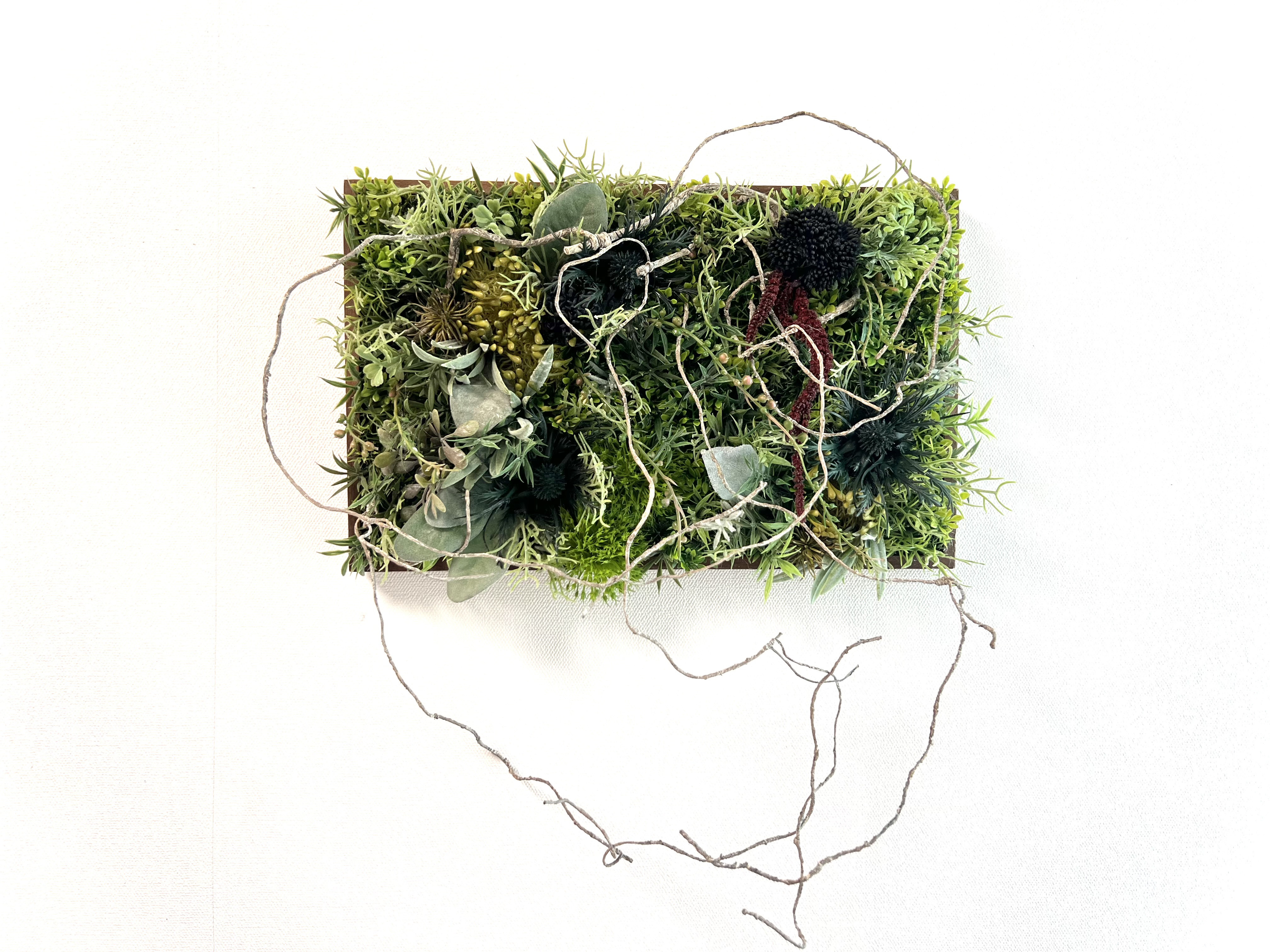 ウォールグリーン　Branch