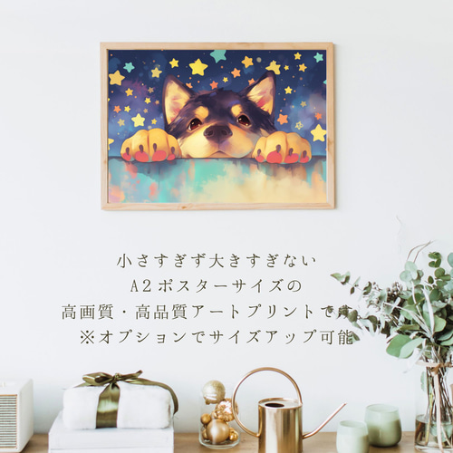 The Starry Dog(星降る犬) - 黒柴犬・黒豆柴の子犬 No.8】星 The Starry Dog(星降る犬) - 黒柴犬・黒豆柴の子犬 No.8】星