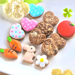 ★カラフルで可愛い(ウサギver)★アイシングクッキー＆ザクザククッキー缶 2枚目の画像