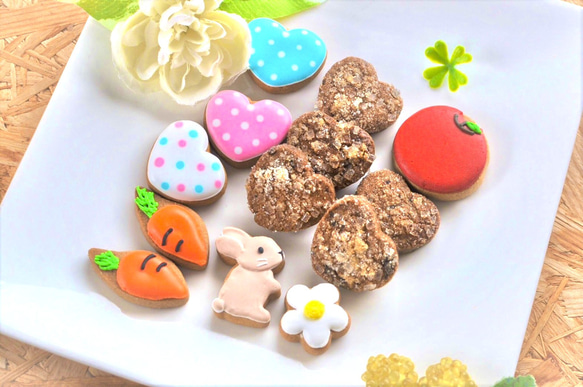 ★カラフルで可愛い(ウサギver)★アイシングクッキー＆ザクザククッキー缶 2枚目の画像