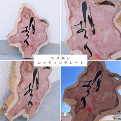 筆文字で差をつける！書道家が【ロゴ作成】承ります “迅速”かつ”丁寧”に。看板作成可/名刺/パッケージ/暖簾 15枚目の画像