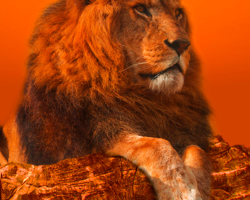 8ef8c126fa338a5219a2688c7af6cb