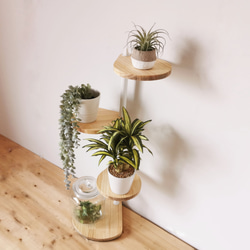 角にも置けるしずくのスタンドシェルフ 3段タイプ【ホワイト N】 / 360度回転 / 隅置き 花 植木 /  完成品 3枚目の画像