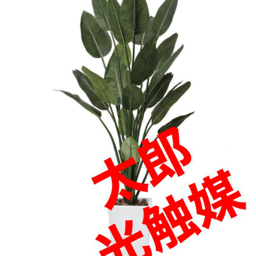 光触媒 人工観葉植物 ウォールグリーン フェイクグリーン