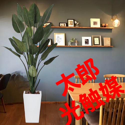 光触媒 人工観葉植物 ウォールグリーン フェイクグリーン ストレチア花 