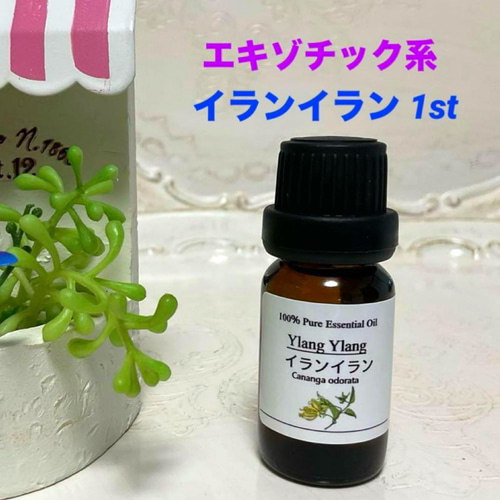 イランイラン 1st 50ml アロマ 天然精油　エッセンシャルオイル イランイラン1stアロマ精油（天然エッセンシャルオイル）