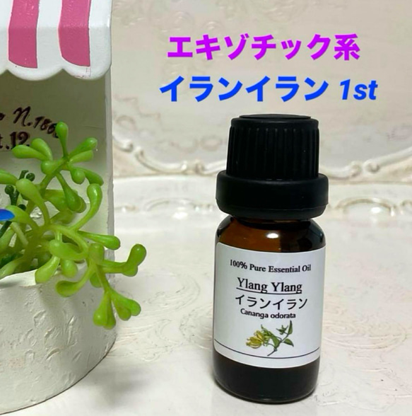 イランイラン 1st 高品質セラピー エッセンシャルオイル アロマ