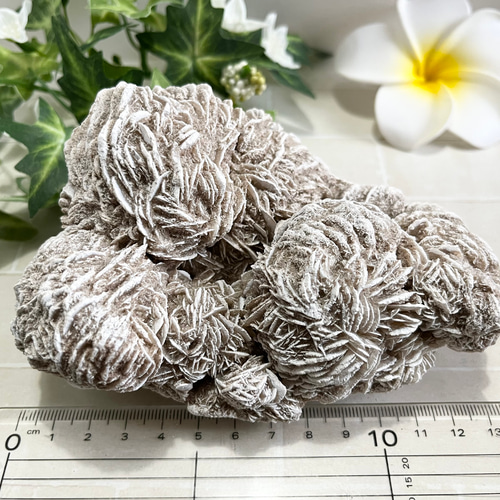 特大✨　知性の石　砂漠の薔薇　デザートローズ　セレナイト　ラフストーン　原石 特大✨【知性の石】砂漠の薔薇デザートローズセレナイトラフストーン原石