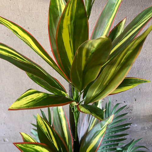 光触媒 人工観葉植物 ウォールグリーン フェイクグリーン マッサン