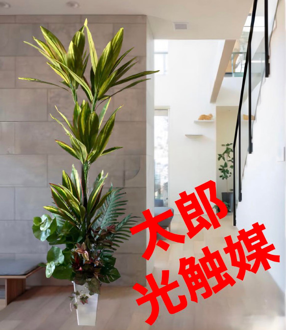 光触媒　人工観葉植物　ウォールグリーン　フェイクグリーン　マッサンアレンジ４Ｒ 光触媒 人工観葉植物 ウォールグリーン フェイクグリーン マッサン
