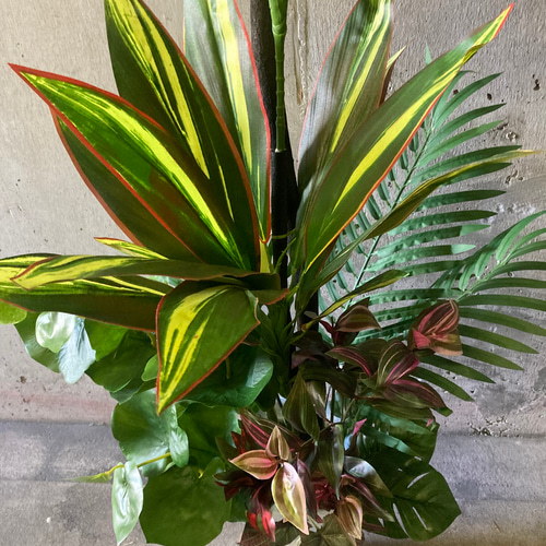 光触媒 人工観葉植物 ウォールグリーン フェイクグリーン マッサン