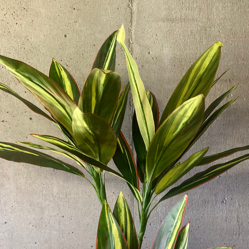 光触媒 人工観葉植物 ウォールグリーン フェイクグリーン マッサン