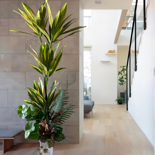 光触媒 人工観葉植物 ウォールグリーン フェイクグリーン マッサン