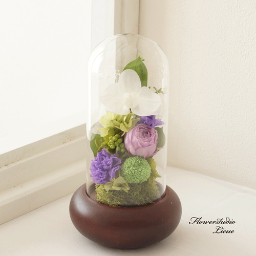 プリザーブドフラワー仏花対ガラスドーム大輪菊 仏花」ポンポン菊のプリザーブドフラワーのガラスドーム＜受注
