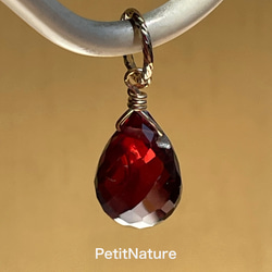 蜘蛛入り琥珀シルバーペンダントトップ ペンダントトップ あと