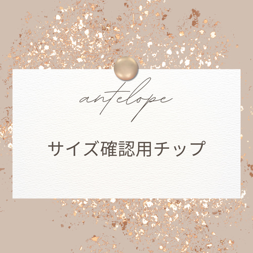 サイズ確認用チップ販売 ネイルチップ（つけ爪） nail.Antelope 通販