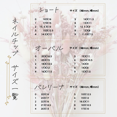 サイズ確認用チップ販売 ネイルチップ（つけ爪） nail.Antelope 通販