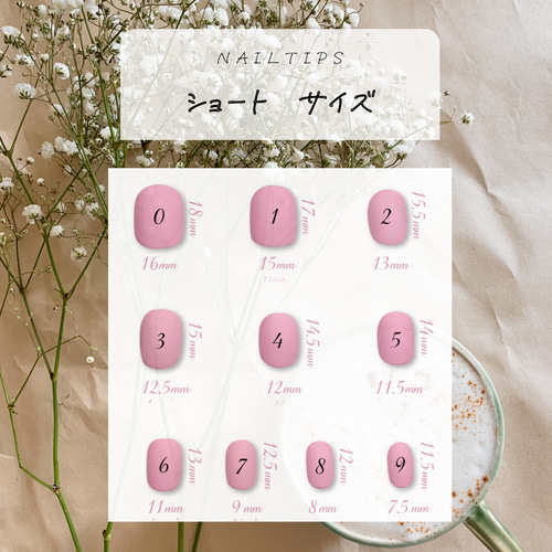 サイズ確認用チップ販売 ネイルチップ（つけ爪） nail.Antelope 通販