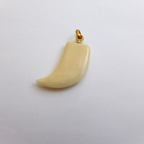 鯨歯 マッコウクジラ 牙玉ネックレストップ 5個 マッコウクジラ歯 牙先