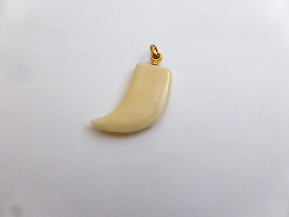 鯨歯 鯨歯HOOK WL-87 | Ocean's Bone Carvings