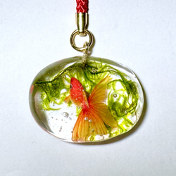 琉金 根付 キーホルダー 帯飾り 金魚 キーホルダー 池波屋 通販