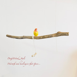 流木インテリア  シンプルな天然流木の小鳥の止まり木 吊り下げタイプ インコ 鳥 ブランコ 自然木 No.30 2枚目の画像