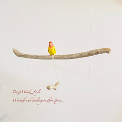 流木インテリア  シンプルな天然流木の小鳥の止まり木 吊り下げタイプ インコ 鳥 ブランコ 自然木 No.31 2枚目の画像