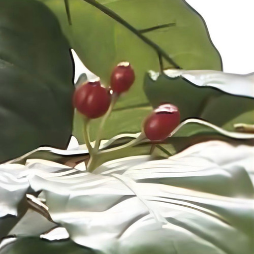 光触媒 人工観葉植物 ウォールグリーン フェイクグリーン コーヒー