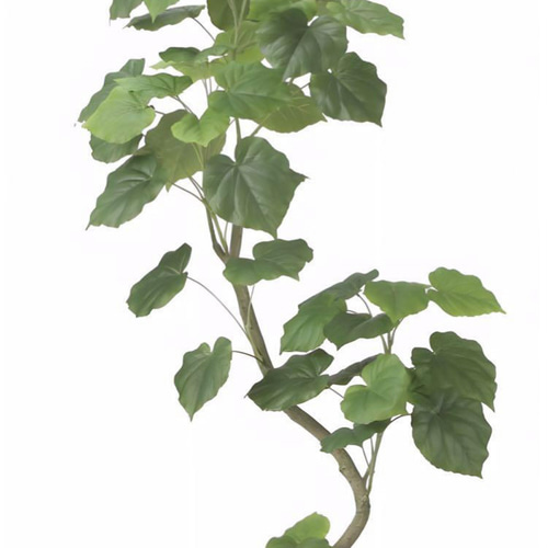 光触媒　人工観葉植物　フェイクグリーン　ツイストウンベラータ1.6 光触媒 人工観葉植物 フェイクグリーン ツイストウンベラータ1.6