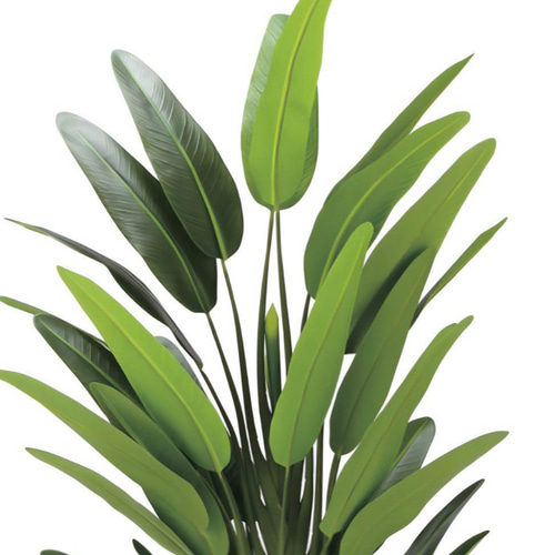 光触媒 人工観葉植物 フェイクグリーン フレッシュトラベラーズ