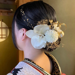 限定販売!】上品胡蝶蘭の髪飾り 成人式 卒業式 結婚式 前撮り 限定販売!】上品胡蝶蘭の髪飾り 成人式 卒業式 結婚式 前撮り