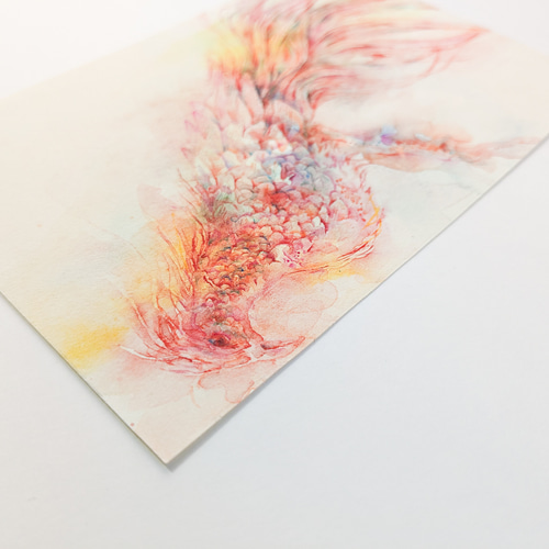 ほうおう【水彩画】 絵画 しろいろ 通販 17714612｜Creema(クリーマ)