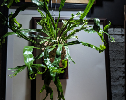 258f4d3fbc4dee532f6471cdf56b25