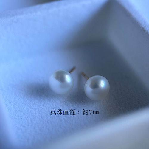 琵琶湖の輝き 国産真珠のひと粒ピアス パール ゴールド 真珠 琵琶湖