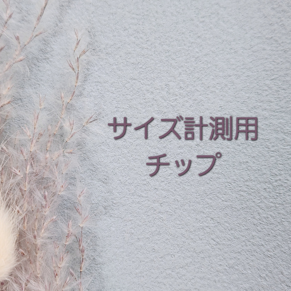 【当SHOPご利用の方限定】サイズ計測用チップ 1枚目の画像