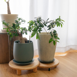 セール！！ 一枚板 無垢材 屋内用プランター台 キャスター 観葉植物