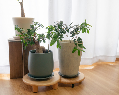 b8c1c873da88ebe39fec0705bc3aec