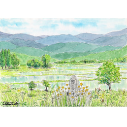 原画一点物 「里山の初夏」 ＜ペンスケッチ＋透明水彩＞ 絵画 Takashi 