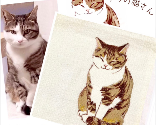 ☆『うちの猫さん』☆【セミオーダー】「猫しちさん。」の手描き