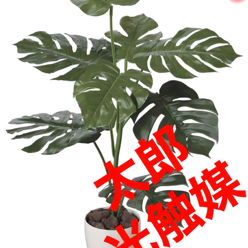 光触媒 人工観葉植物 ウォールグリーン フェイクグリーン モンステラ