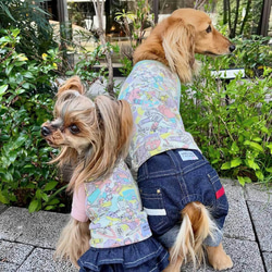 めるまま様☆犬服☆ハンドメイドオーダー☆2着✩.*˚ 犬袴】牛若丸 オーダーメイド 犬服 犬の着物 | iichi 日々の