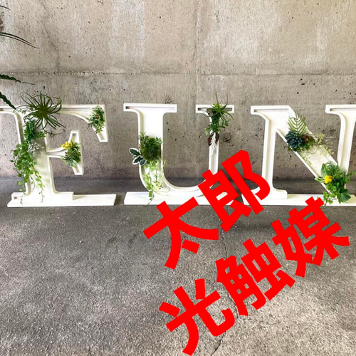 光触媒　人工観葉植物　ウォールグリーン　フェイクグリーン　アルファベット 光触媒 人工観葉植物 ウォールグリーン フェイクグリーン 壁掛け