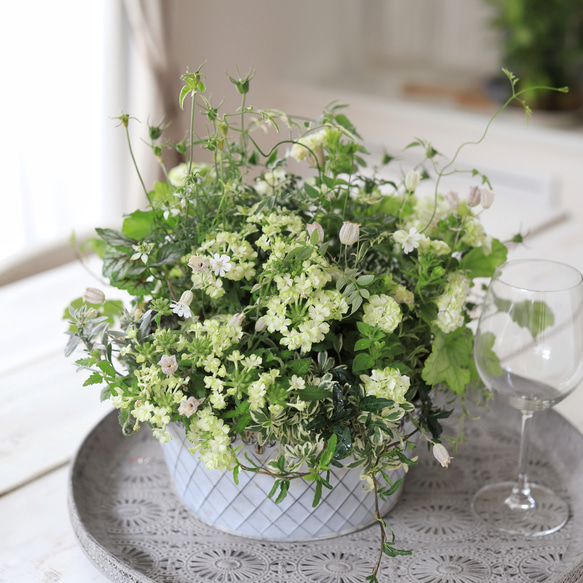 ブリキ缶に♪ラウンドスタイルのギャザリング寄せ植え ドライフラワー  