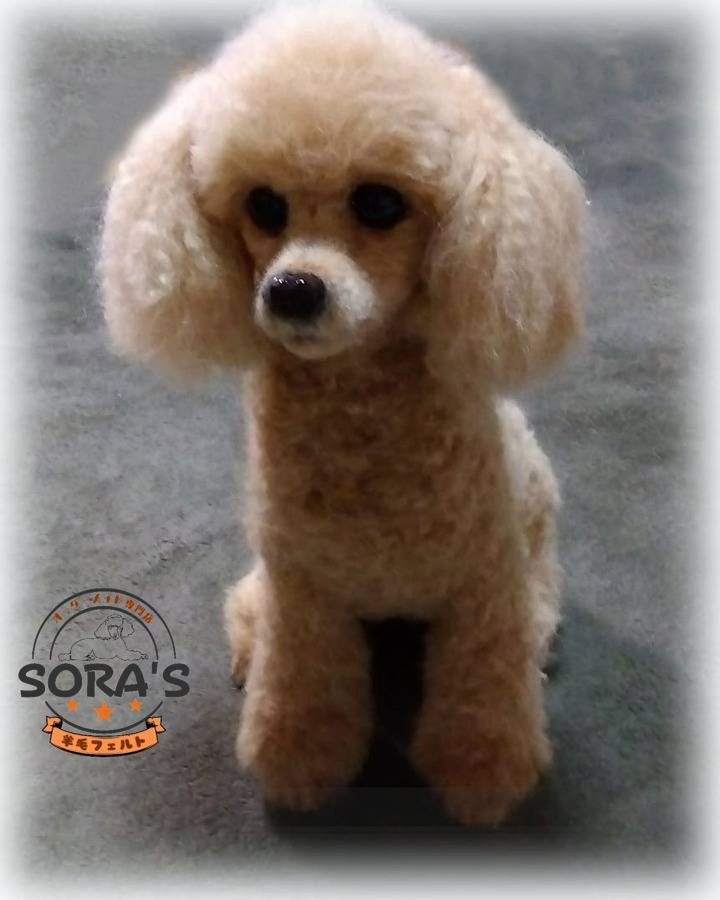 羊毛フェルト＃犬　リアルで可愛い　愛犬さん　オーダー制作・わんちゃん　ロングコートチワワ