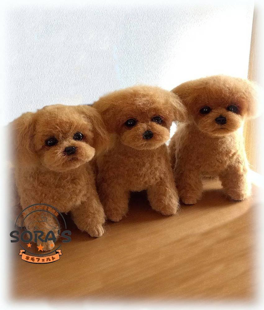 羊毛フェルト＃犬　リアルで可愛い　愛犬さん　オーダー制作・わんちゃん　ロングコートチワワ