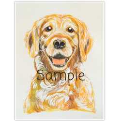 【ペット画ミニサイズ】オーダー制作　犬　猫　動物　イラスト ペット画ミニサイズ【犬、猫、その他動物】 絵画 D.アラキ 通販