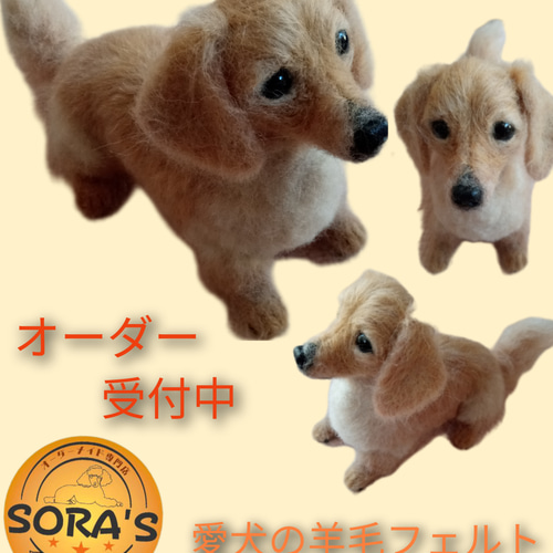 羊毛フェルト 犬 リアルで可愛い 愛犬さん オーダーメイド・わん 羊毛フェルト 犬 リアルで可愛い 愛犬さん オーダーメイド・わん