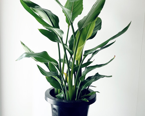 77e3f798f175477da8e228222edc24